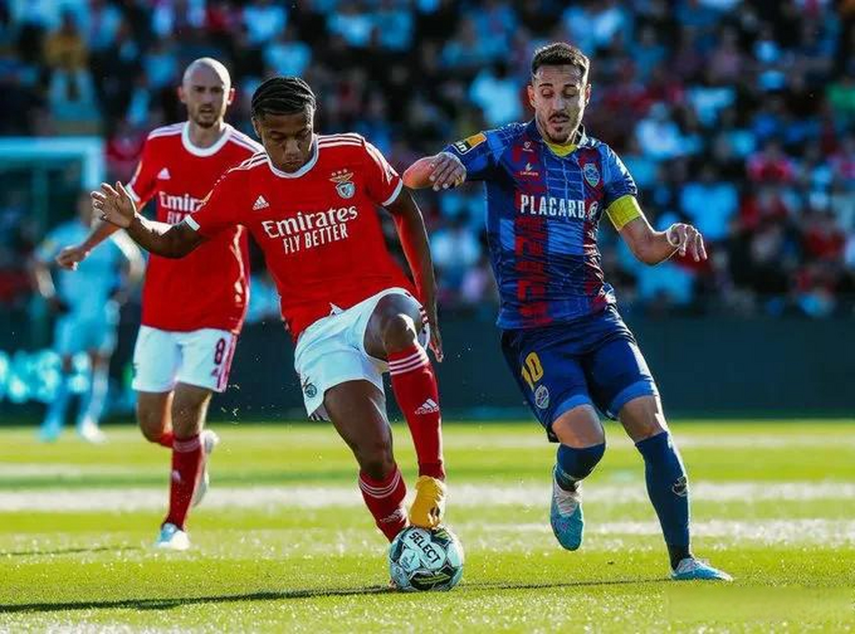 贝博体育平台 -包含今晨突围战来临，犹他爵士围绕葡超迎来里程碑，悬念犹存，数据趋势出现新变化的词条