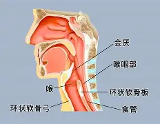 贝博体育入口 -^?Q?2咽揟!(α和β的关系)